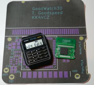 GoodWatch and PCB.jpg