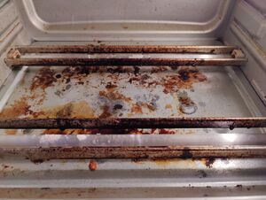Instant Omni Pro Interior Toaster Lower Heating Elements.jpg